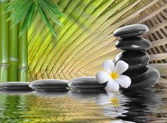 Fototapeta pltno 330 x 244, 36716106 - spa stones,bamboo  with frangipani