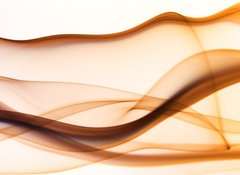 Samolepka flie 100 x 73, 3684919 - waves of smoke - vlny koue