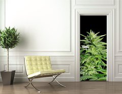 Samolepka na dvee flie 90 x 220, 36911963 - Potent Medical Marijuana Plant