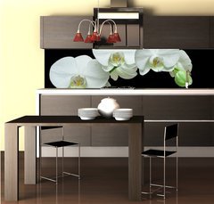 Fototapeta do kuchyn flie 260 x 60, 36934594 - White orchid on black background