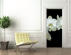 Samolepka na dvee flie 90 x 220, 36934594 - White orchid on black background