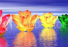 Fototapeta184 x 128  Lily flowers chakras by night, 184 x 128 cm