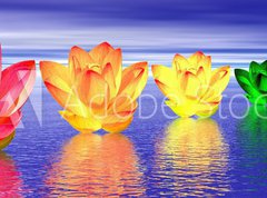 Samolepka flie 270 x 200  Lily flowers chakras by night, 270 x 200 cm