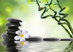 Samolepka flie 200 x 144  Bamboo and frangipani for spa salon, 200 x 144 cm