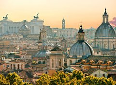 Samolepka flie 100 x 73  Rome, Italy., 100 x 73 cm
