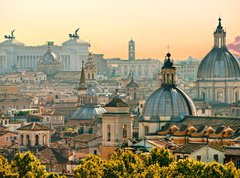 Samolepka flie 270 x 200  Rome, Italy., 270 x 200 cm