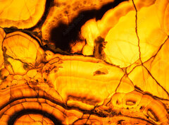 Fototapeta pltno 330 x 244, 371525447 - Backlit translucent alabaster. Abstract natural stone texture