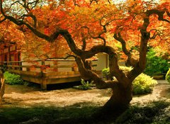 Samolepka flie 100 x 73, 37314697 - Tree in an Asian Garden - Strom v asijsk zahrad