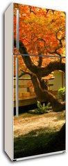 Samolepka na lednici flie 80 x 200  Tree in an Asian Garden, 80 x 200 cm