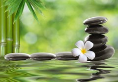 Fototapeta174 x 120  spa stones with frangipani, 174 x 120 cm