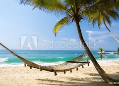 Fototapeta pltno 240 x 174, 37401559 - Under the palms