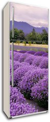 Samolepka na lednici flie 80 x 200  Lavender Farm in Sequim, Washington, USA, 80 x 200 cm