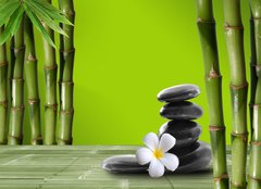 Fototapeta papr 160 x 116, 37470150 - Young, green bamboo in the background boke