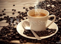 Samolepka flie 100 x 73, 37685358 - Espresso