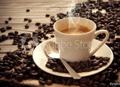 Samolepka flie 200 x 144, 37685358 - Espresso