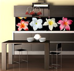 Fototapeta do kuchyn flie 260 x 60  fleurs frangipanier fond noir, 260 x 60 cm