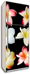 Samolepka na lednici flie 80 x 200  fleurs frangipanier fond noir, 80 x 200 cm