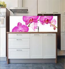 Fototapeta do kuchyn flie 180 x 60, 37898338 - Tralcio di orchidea
