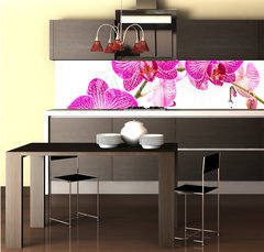 Fototapeta do kuchyně fólie 260 x 60, 37898338 - Tralcio di orchidea
