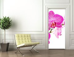 Samolepka na dvee flie 90 x 220, 37898338 - Tralcio di orchidea