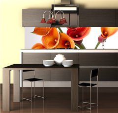 Fototapeta do kuchyn flie 260 x 60, 37918166 - Orange Calla lilies(Zantedeschia) over white