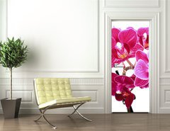 Samolepka na dvee flie 90 x 220, 37945049 - Mini Orchide sur fond blanc