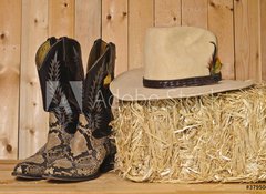 Fototapeta100 x 73  Snakeskin cowboy boots, 100 x 73 cm