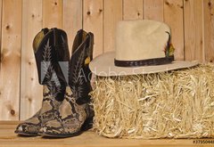 Fototapeta145 x 100  Snakeskin cowboy boots, 145 x 100 cm
