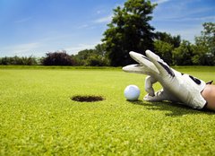 Fototapeta pltno 240 x 174, 3805293 - Golf club - Golfov klub