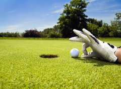 Samolepka flie 270 x 200, 3805293 - Golf club - Golfov klub