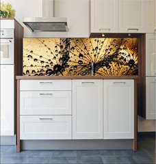 Fototapeta do kuchyn flie 180 x 60  wet dandelion seed, 180 x 60 cm