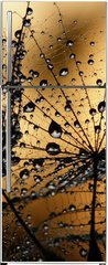 Samolepka na lednici flie 80 x 200, 3821285 - wet dandelion seed