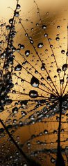 Samolepka na dvee flie 90 x 220, 3821285 - wet dandelion seed