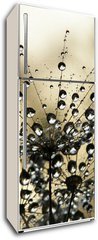 Samolepka na lednici flie 80 x 200, 3821310 - wet dandelion seed