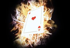 Samolepka flie 145 x 100  Card on fire., 145 x 100 cm