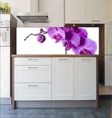 Fototapeta do kuchyn flie 180 x 60, 3828163 - orchid - orchidej