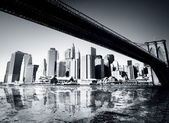 Samolepka flie 100 x 73  New York, 100 x 73 cm