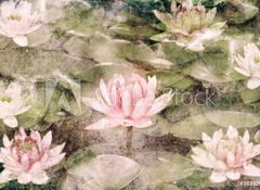 Samolepka flie 100 x 73, 38390987 - Water Lily