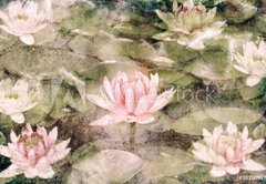 Samolepka flie 145 x 100, 38390987 - Water Lily