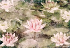 Fototapeta papr 184 x 128, 38390987 - Water Lily