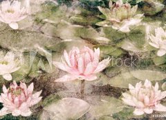 Fototapeta papr 254 x 184, 38390987 - Water Lily