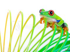 Fototapeta papr 360 x 266, 38488901 - Colorful Frog on a spring, coil toy - Barevn ba na jae, cvka hraku