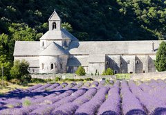 Samolepka flie 145 x 100, 38511618 - Senanque abbey with lavender field, Provence, France