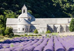 Samolepka flie 145 x 100, 38511618 - Senanque abbey with lavender field, Provence, France - Senanque opatstv s levandulem pole, Provence, Francie