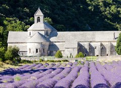 Fototapeta160 x 116  Senanque abbey with lavender field, Provence, France, 160 x 116 cm