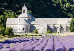 Fototapeta174 x 120  Senanque abbey with lavender field, Provence, France, 174 x 120 cm