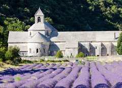 Fototapeta vliesov 200 x 144, 38511618 - Senanque abbey with lavender field, Provence, France