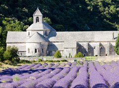 Fototapeta papr 360 x 266, 38511618 - Senanque abbey with lavender field, Provence, France