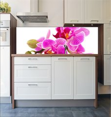 Fototapeta do kuchyn flie 180 x 60, 38877808 - Tropical pink orchid