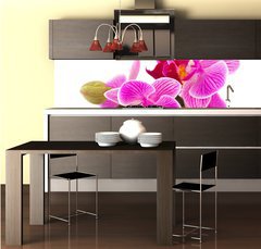 Fototapeta do kuchyn flie 260 x 60, 38877808 - Tropical pink orchid